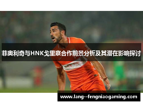 菲奥利奇与HNK戈里察合作前景分析及其潜在影响探讨