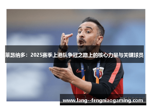 莱昂纳多：2025赛季上港队争冠之路上的核心力量与关键球员