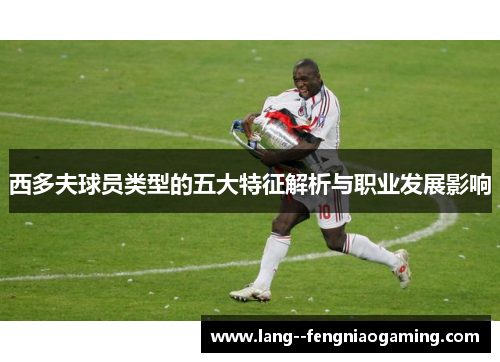 西多夫球员类型的五大特征解析与职业发展影响 西多夫球员类型的五大特征解析与职业发展影响