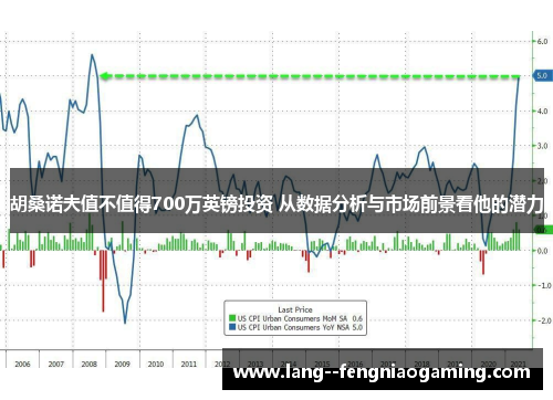 胡桑诺夫值不值得700万英镑投资 从数据分析与市场前景看他的潜力