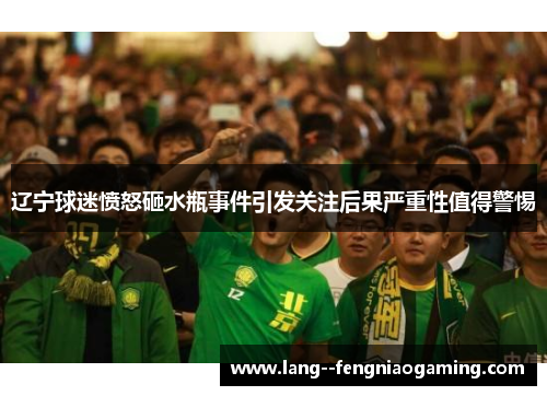 辽宁球迷愤怒砸水瓶事件引发关注后果严重性值得警惕