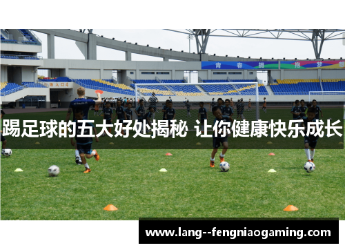 踢足球的五大好处揭秘 让你健康快乐成长