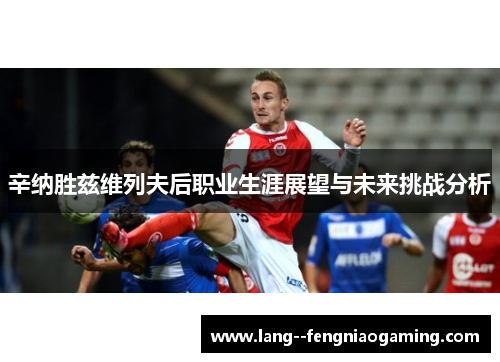 辛纳胜兹维列夫后职业生涯展望与未来挑战分析